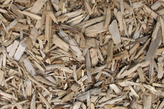 biomass boilers Corsock